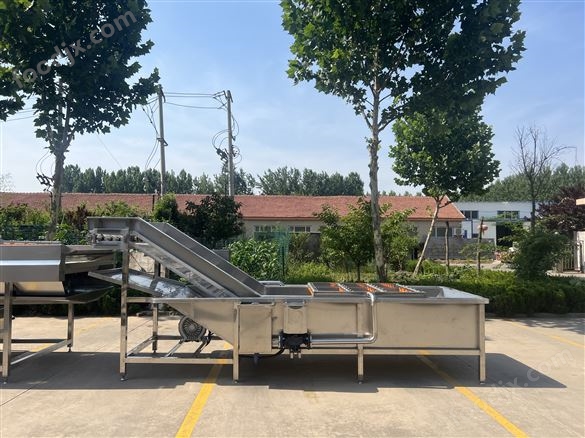 果蔬加工氣泡清洗機(jī)