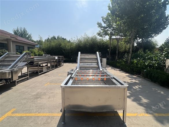 果蔬加工氣泡清洗機(jī)