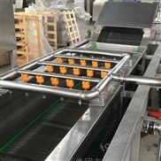 全自動凈菜加工設備水果蔬菜清洗線